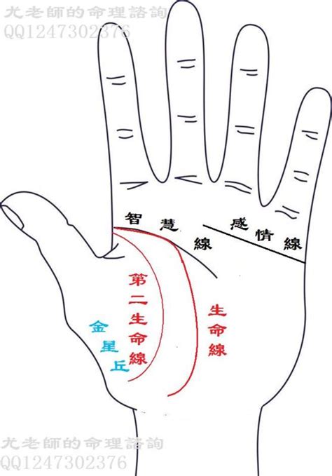 生命線有兩條|手相大全——生命線